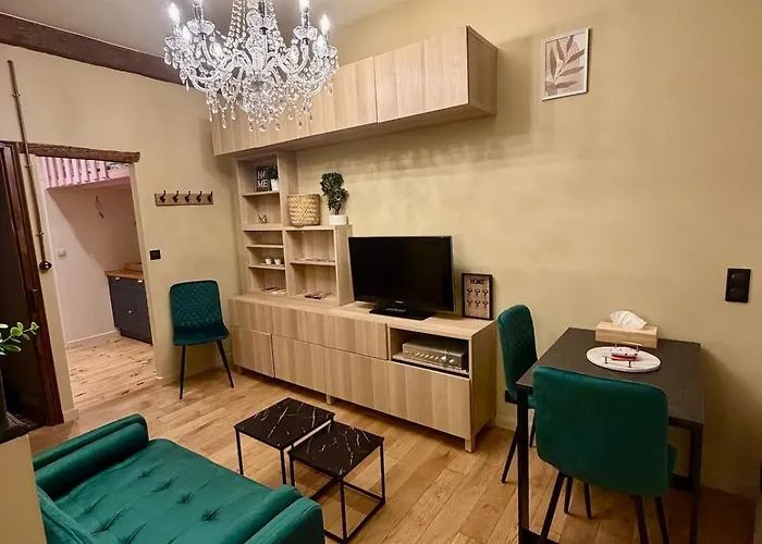 Le Petit May - Cosy & Moderne - 1 Chambre - Centre Ville Toulouse Appartement Toulouse