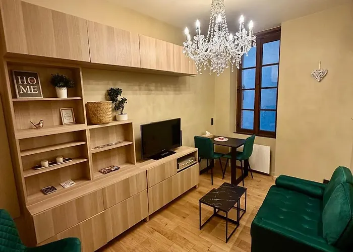 Apartment Le Petit May - Cosy & Moderne - 1 Chambre - Centre Ville Toulouse Toulouse